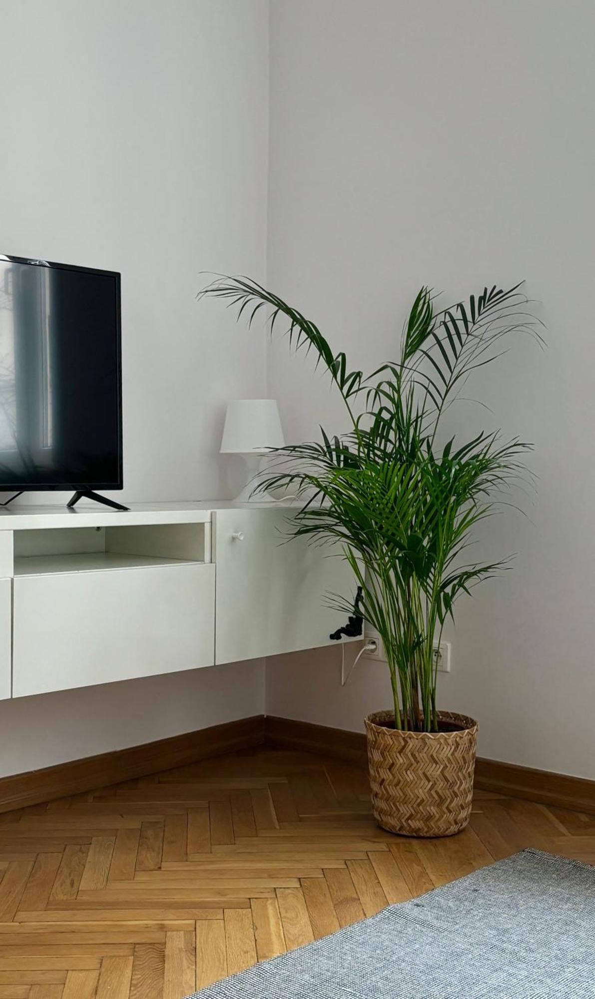 ורשה Apartament K3 מראה חיצוני תמונה